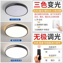 Bedroom ceiling lamp modern simple LED lighting ceiling lamp round eye protection indoor lighting household second bedroom lamp