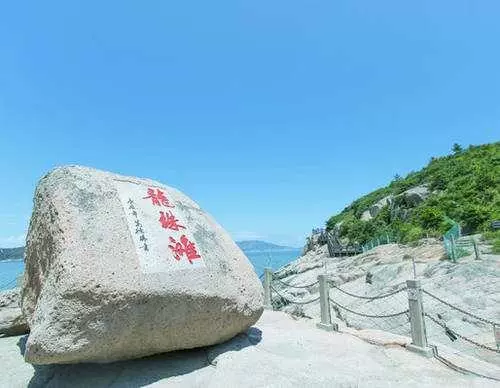 东海龙珠图片