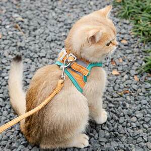 
Cat traction rope, special adjustable cat walking rope for outings, kitten and small dog anti-breakaway harness, pet supplies