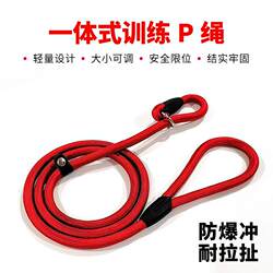 Pet Collar and Leash for Small, Medium, and Large Dogs, Suitable for Teddy, Golden Retriever, Border Collie, and Small Puppies