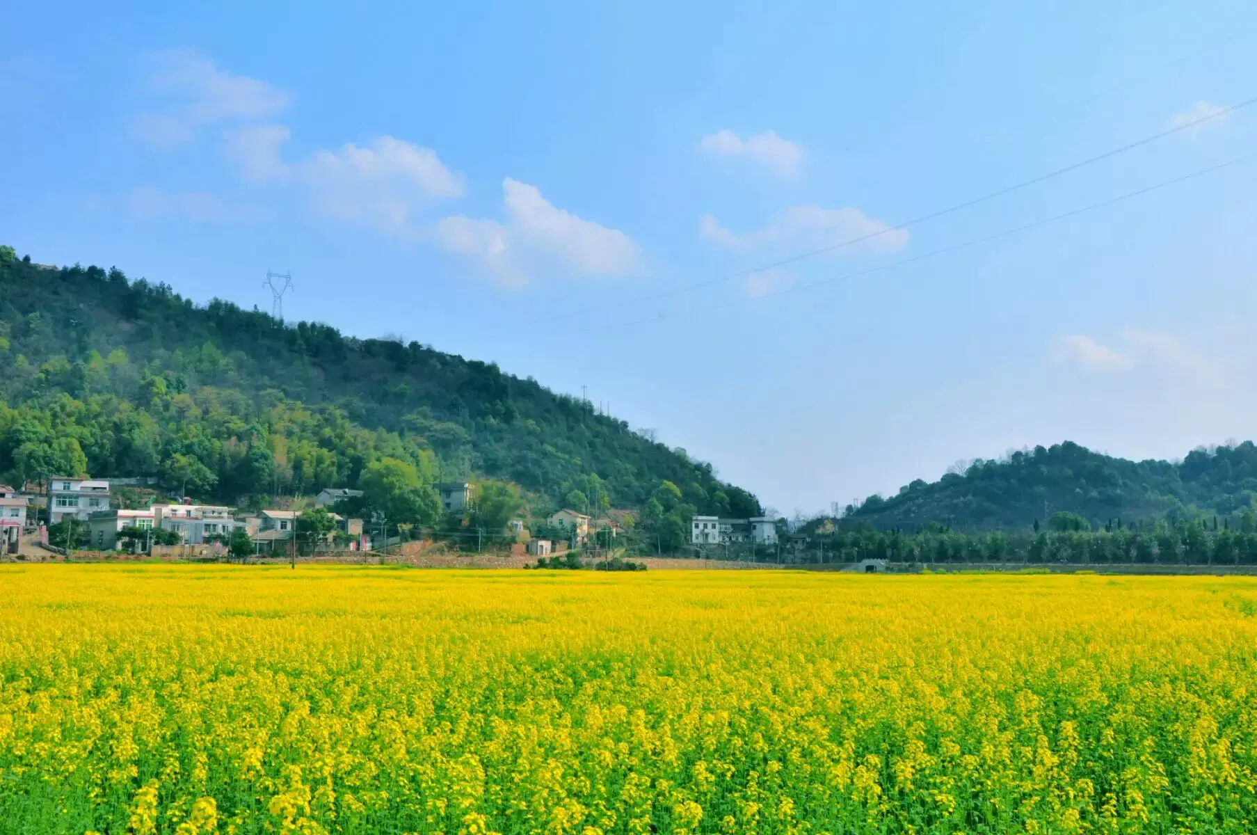 大冲村景区图片