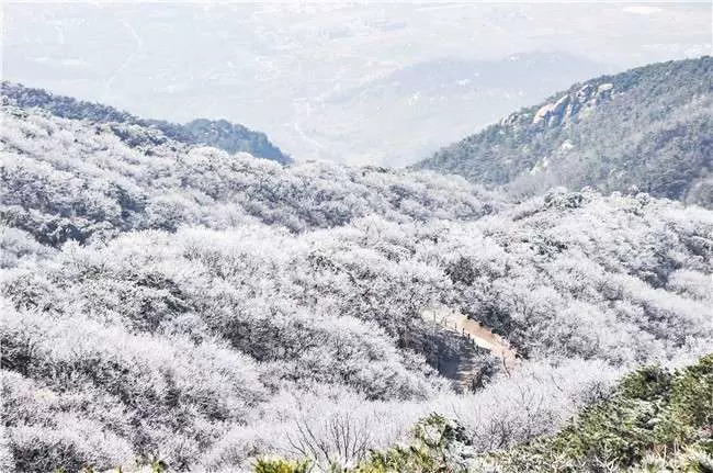 沂蒙山旅游区龟蒙景区图片