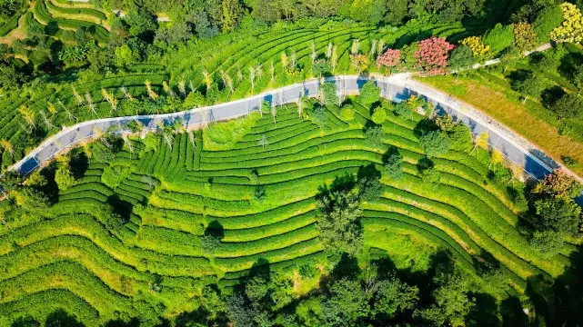 象窝山生态园