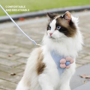 
New cat flower leash dog vest style harness pet supplies pet store kitten