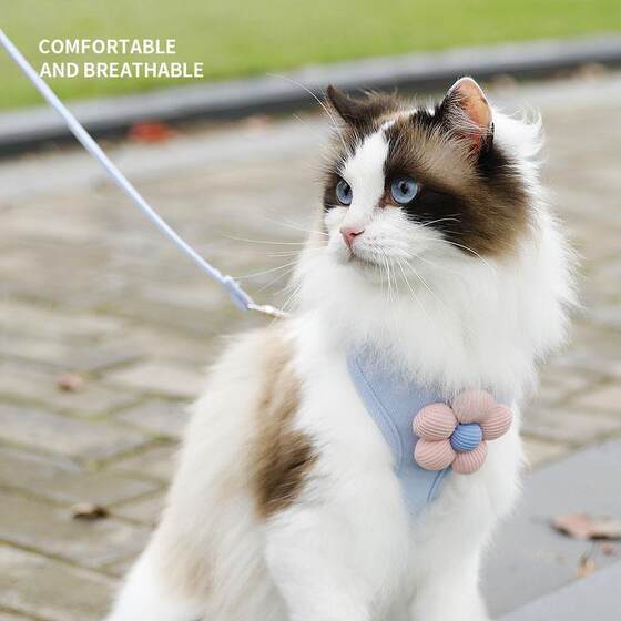 
New cat flower leash dog vest style harness pet supplies pet store kitten