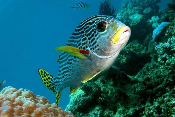 易生海洋水族馆图片