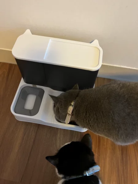 猫碗猫食盆狗碗双碗自动饮水喂食器-黑色狗食盆狗狗碗宠物猫咪用品