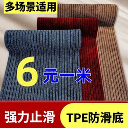 Floor Mat for Entryway, Household Doormat for Kitchen and Living Room, Stain-Resistant, Non-Slip, Water-Absorbent, Foot-Rubbing Mat for Entrance and Doorway