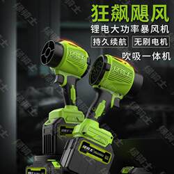 Green Knight Dual-Purpose Blower and Vacuum Cleaner, Pure Copper Brushless Blower for Dust Removal, Snow Cleaning, Car Washing, Water Collection, Multi-Purpose Blower