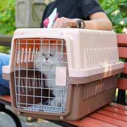 Pet Airline Crate, Cat and Dog Transport Crate, Portable Car-Mounted Dog Cage for Small and Medium-Sized Dogs and Cats