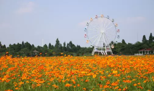 百花园图片