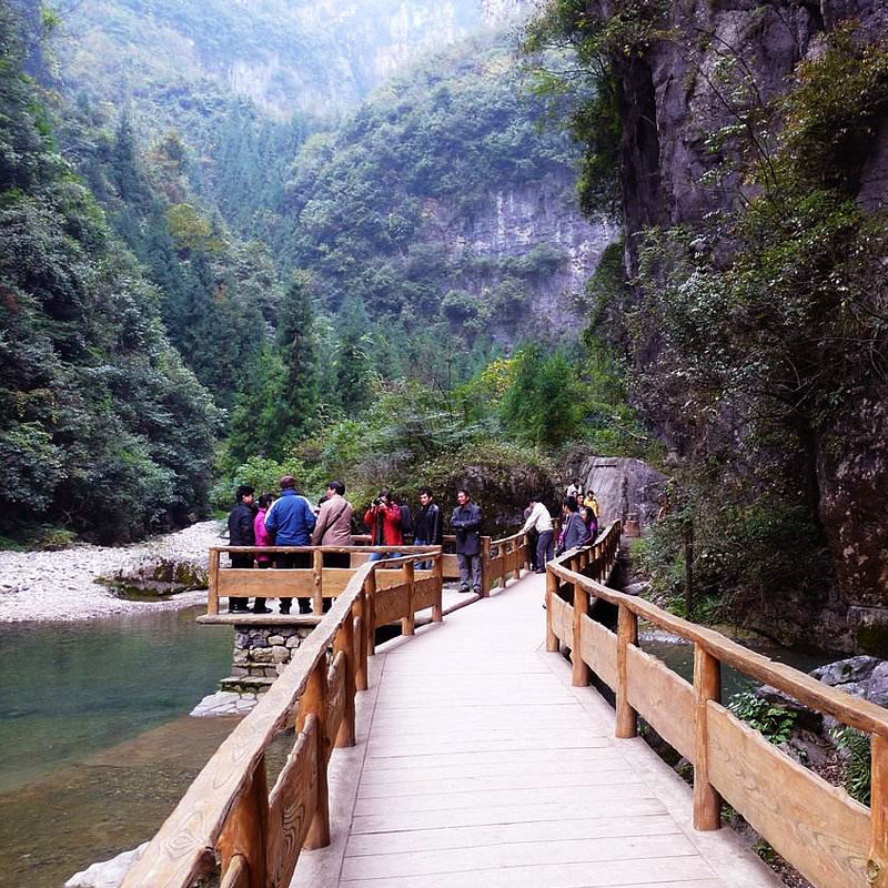 重庆武隆一日游天生三桥天坑地缝仙女山乌江画廊纯玩跟团游