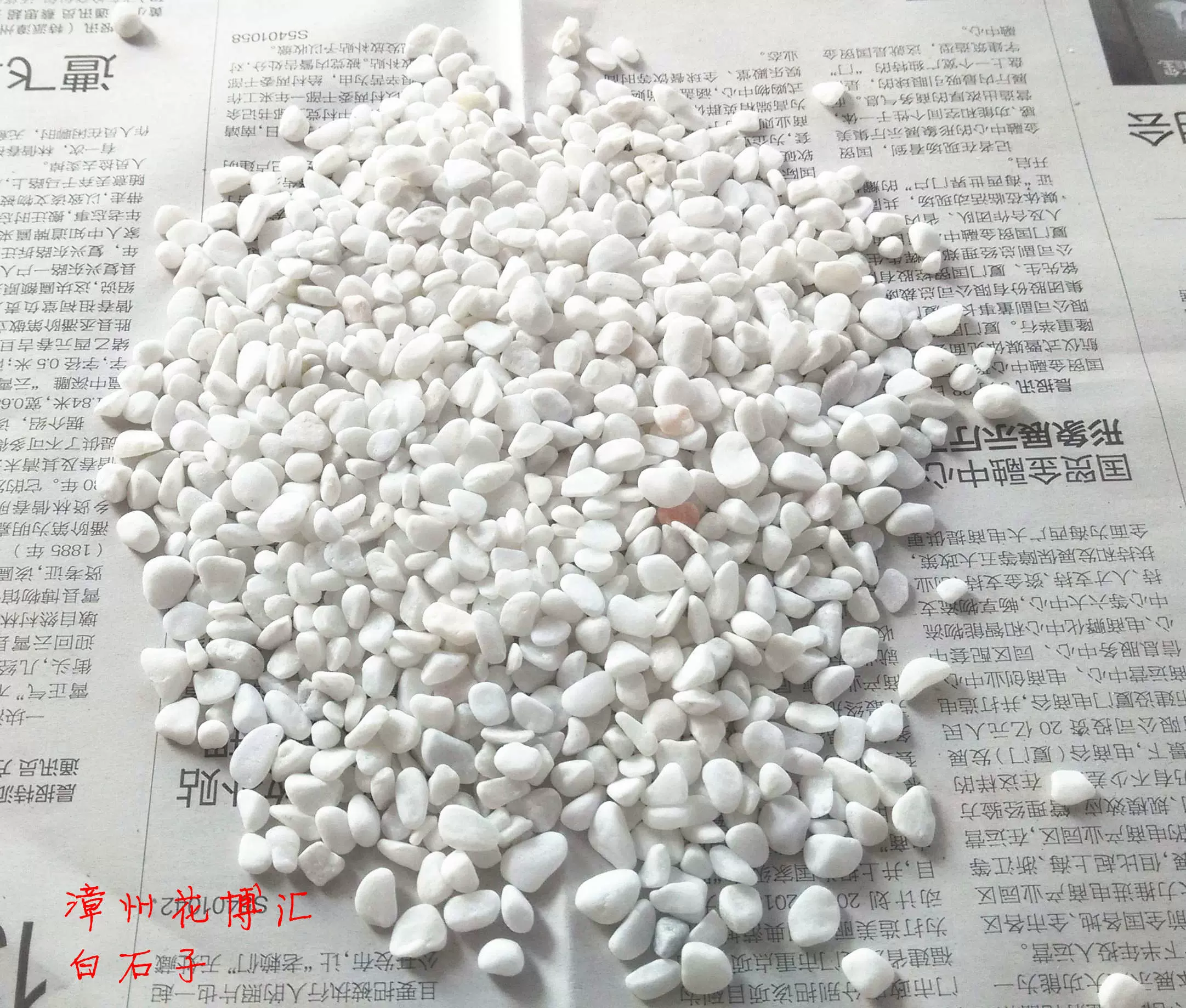 漳州花博汇多肉基地白石彩石铺面石水培植物介质园艺装饰品推荐-Taobao