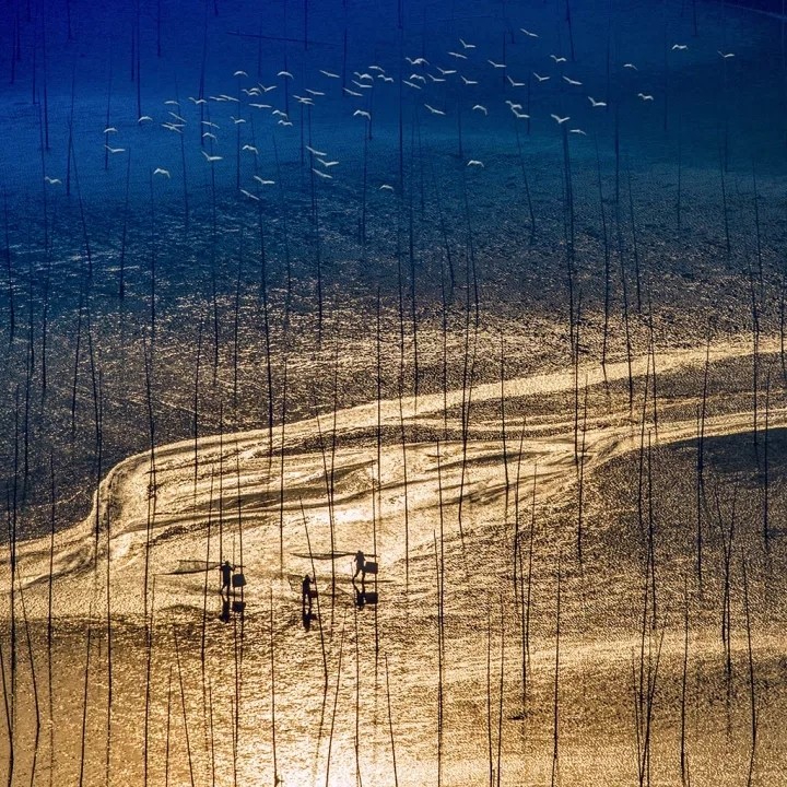 霞浦5日4晚专业摄影团 10人成团 【纯摄影团+专业摄影老师指导】 - 定制游预订