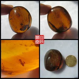 pure natural myanmar amber Latest Best Selling Praise 