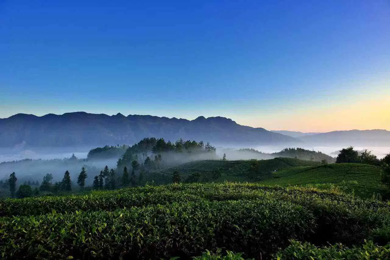 茶海之心景区