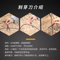Y-ring scissors, bud carving knife, fruit tree girdling knife, gardening B-ring cutter, garden tools, branches to promote short branch flower buds