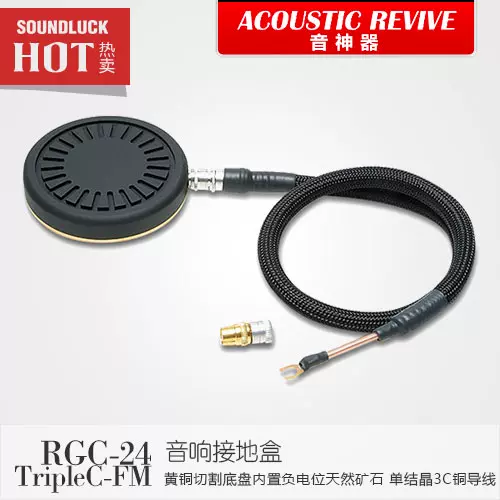 超可爱の Revive Acoustic RGC-24K 美品 特注品 その他