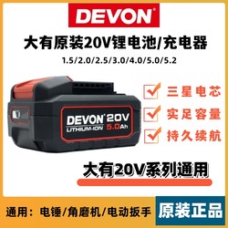 Dayou original 20V battery charger