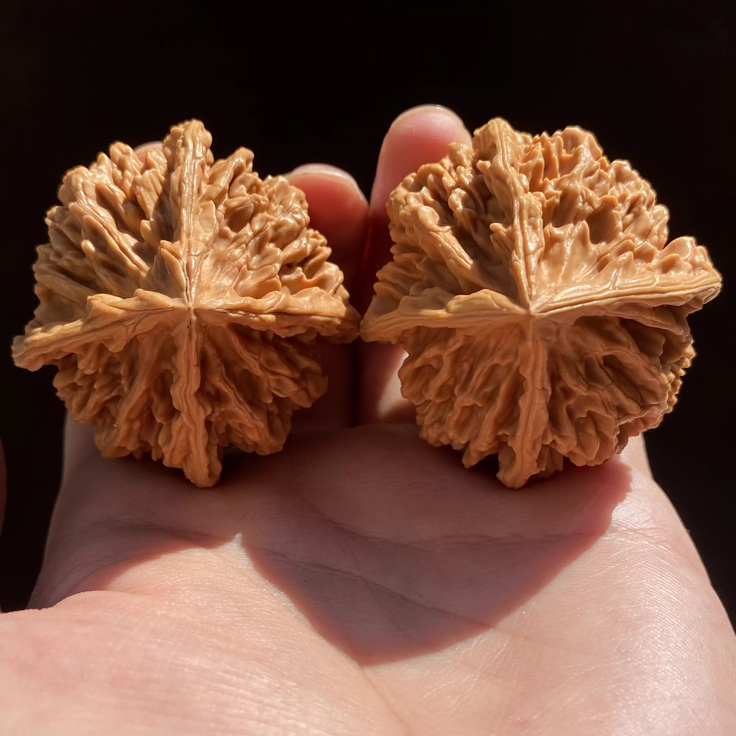 文玩堂：坐佛獅子頭（收藏级核桃） 文玩堂：坐佛獅子頭（收藏级核桃） 文玩核桃磨盘狮子头闷