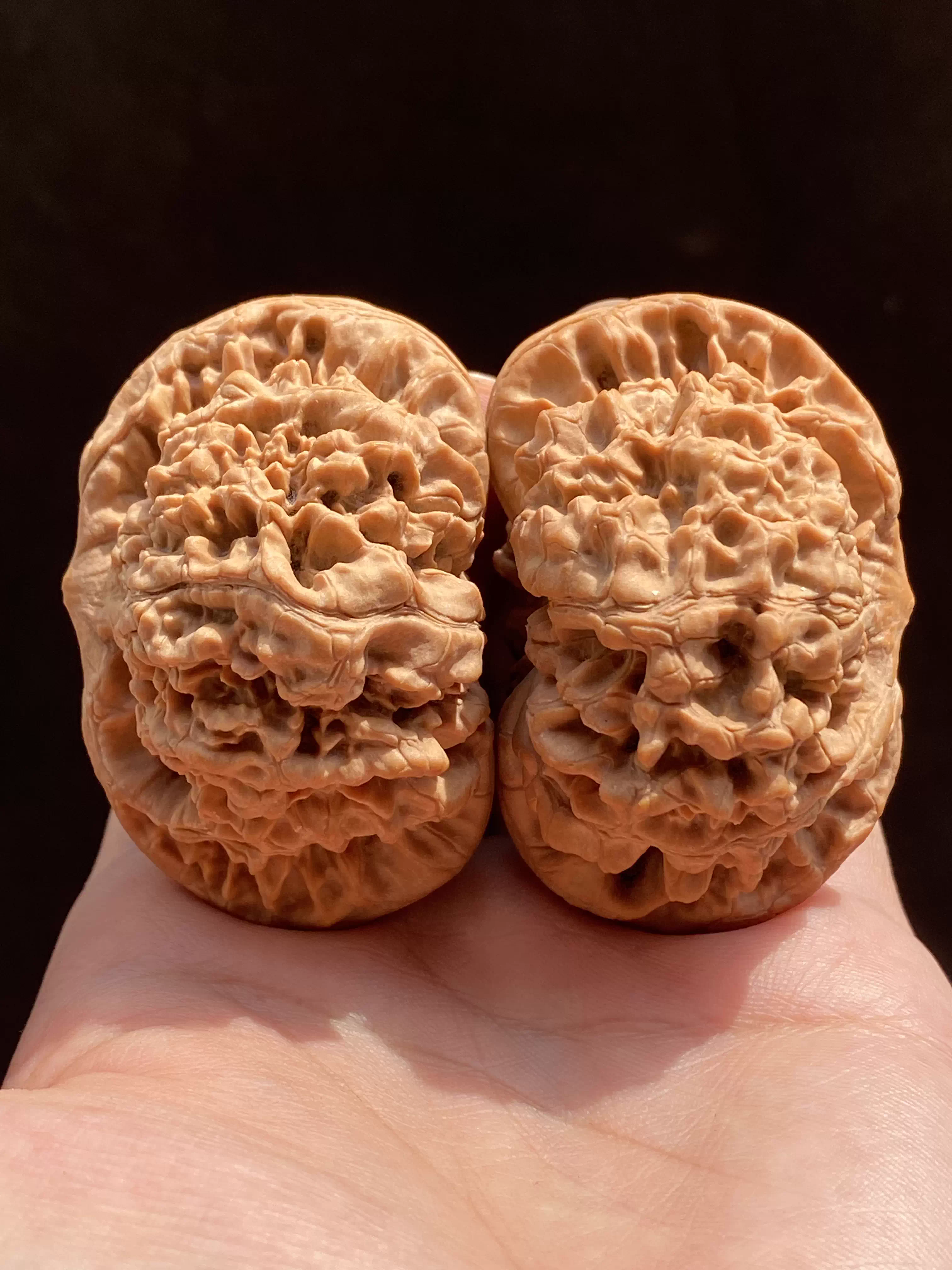 文玩堂：坐佛獅子頭（收藏级核桃） 文玩堂：坐佛獅子頭（收藏级核桃） 文玩核桃磨盘狮子头闷