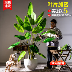 Simulated Green Plant Potted Artificial Flowers, Bird of Paradise, Living Room Decoration, Bionic Traveler's Banana Plant, Artificial Tree Landscaping Decoration Ornaments