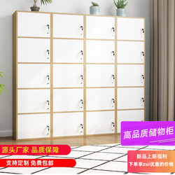 Storage Cabinet, Solid Wood Cabinet with Lock, Modern Minimalist Bookcase, Free Combination Grid Cabinet, Storage Cabinet with Door