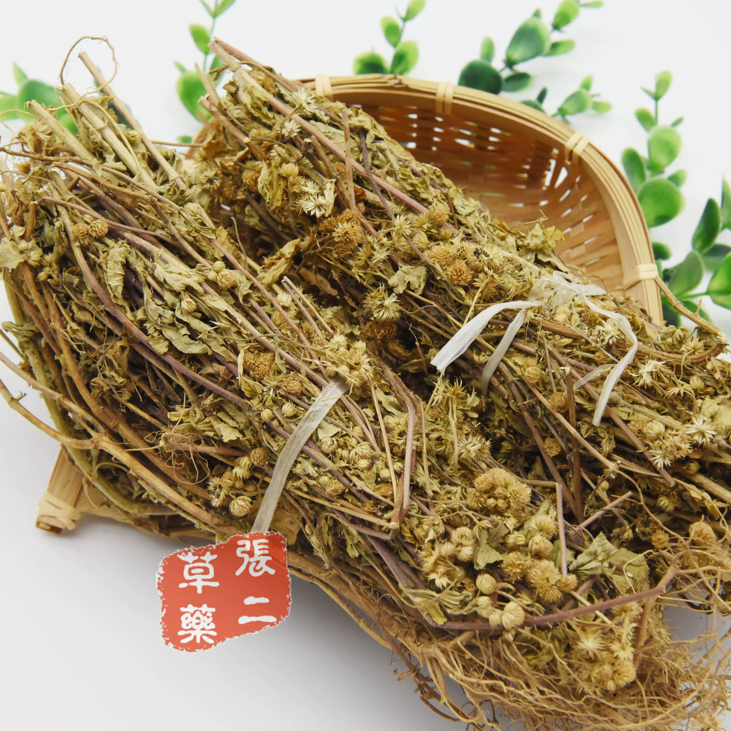 中草药材大草毛射香胜红蓟白花草路遇香鱼眼