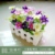 Transparent 15cm+daisy/purple 
