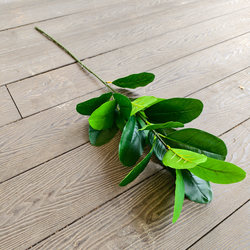 Simulated Grapefruit Leaves, Fake Branches, Plastic Large Green Leaves, Wedding Landscape, Big Trees, Dead Trees, Decorative Green Plants, Fake Green Leaves