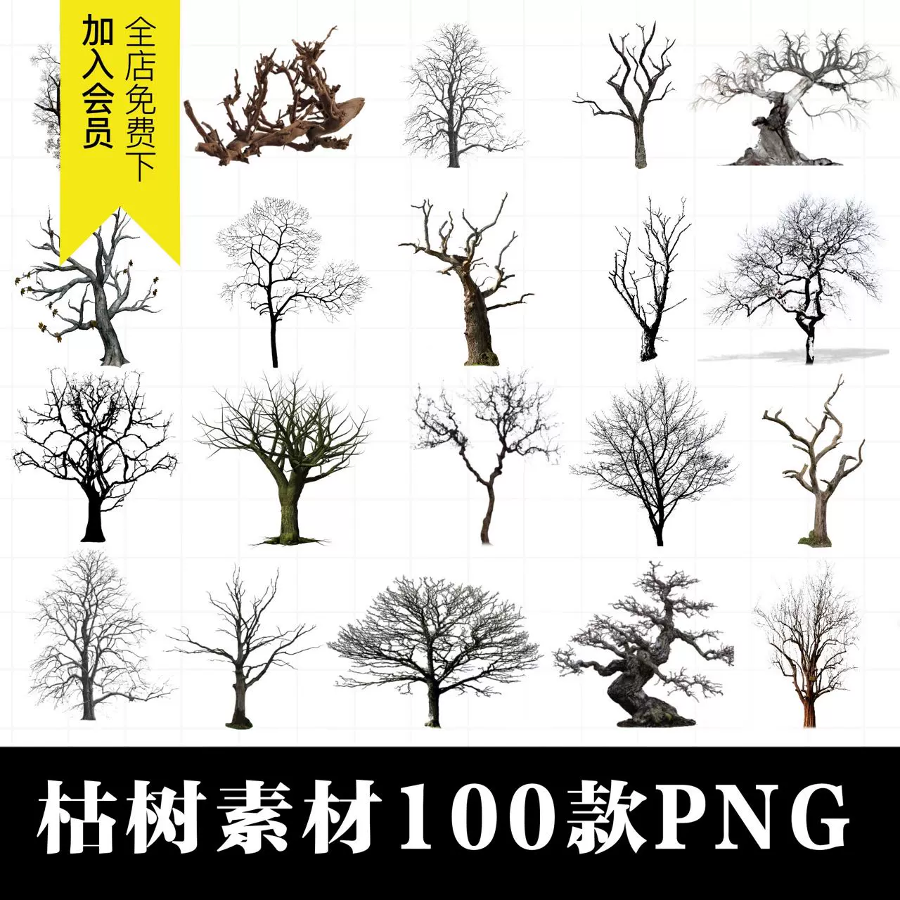 枯树光秃秃树枝树干荒芜剪影后期合成PNG免抠透明背景设计PS, image size:1280x1280