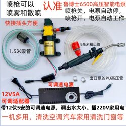 220V Air Conditioner Cleaning Machine, Car Washer, Cleaning Equipment, Household Cleaning, Booster Diaphragm Pump with Adjustable Water Flow