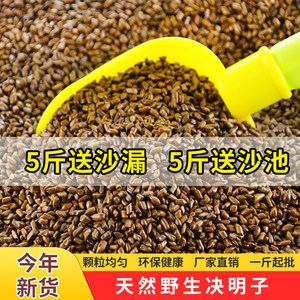 Children's sandy toy sand duying Mingzi sand pond set Baobao room played beach toys bulk pillow core