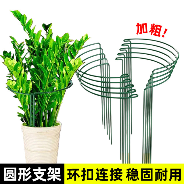 Flower support frame Money tree plant semicircular flower bracket anti-looping support rod Monstera tiger skin orchid leaf protection frame
