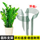 Flower support frame Money tree plant semicircular flower bracket anti-looping support rod Monstera tiger skin orchid leaf protection frame
