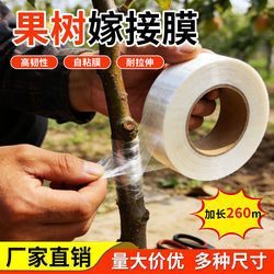 Special Film for Grafting Fruit Trees, Wrapping Film, Garden Tape, Bandage Film, Self-Adhesive Film, Leak-Proof Wrap Film, Take-Out Packaging Film