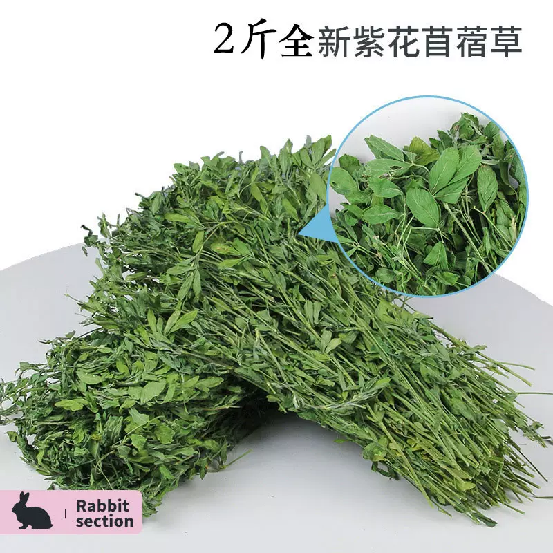 兔草紫花苜蓿草葉子乾草幼兔豚鼠龍貓糧食荷蘭豬草