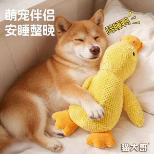 Dog toy toys unhrouaned artifact pet puppy plush doll big dog self -made molars and teeth, biting dog supplies