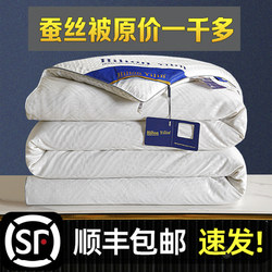 Authentic Silk Quilt 95% Mulberry Silk Spring and Autumn Quilt Air-Conditioning Quilt All-Cotton Double Student Quilt Thickened Winter Quilt