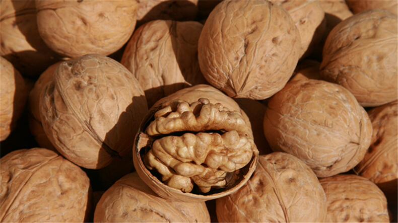 补脑健康香核桃，3步简单get！(图23)