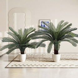 Simulated Green Plant Cycad Tree Potted Indoor and Outdoor Living Room Office Shop Floor Decoration Fake Green Plant Ornaments