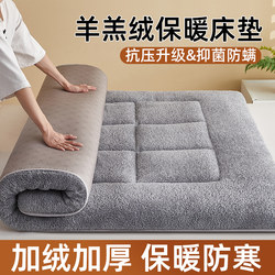 Lamb Velvet Mattress Soft Cushion Home Winter Thickeneded Mattress Quilt Student Dormitory Coral Milk Velvet Bed Blanket