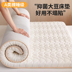Mattress Topper for Home Use, Rental Apartment Hard Mattress, Dormitory Student Single Tatami Mat, Sponge Underlay Pad