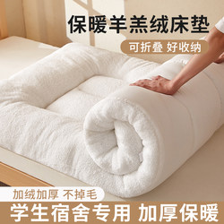 Milk Velvet Mattress for Winter Student Dormitory Single Bed, Thickened 90X190Cm Lamb Velvet Base Pad, Quilt, Bed Blanket