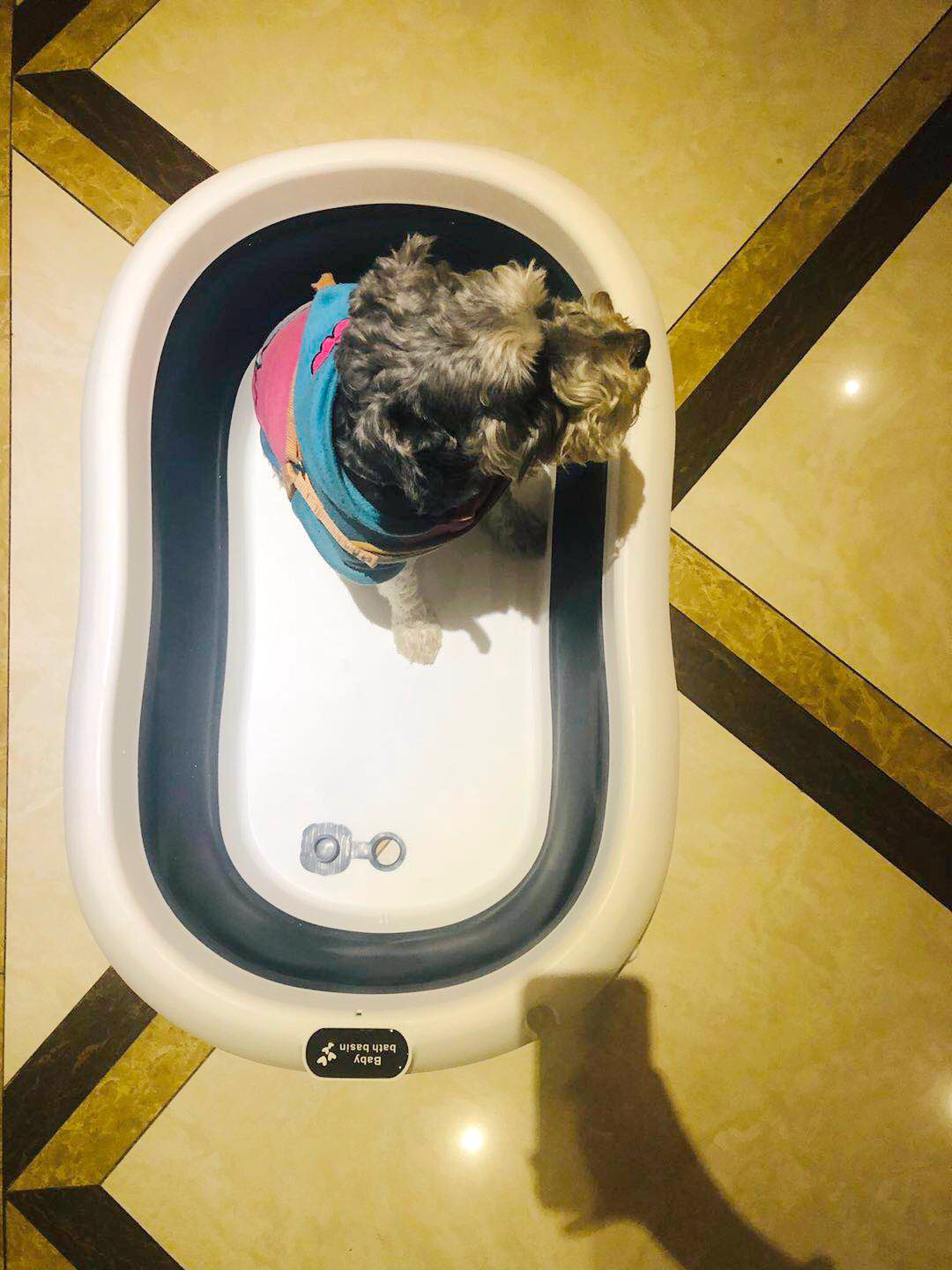 狗狗洗澡神器 可折叠浴盆