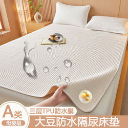 Waterproof Urine-Proof Mattress Pad, Class a Student Dormitory Mattress, Winter Home Use Quilted Pad, Bed Mat, Non-Slip Mattress