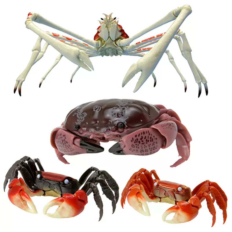 万代扭蛋生物大图鉴之螃蟹02 巨螯蟹蜘蛛蟹摆件仿真动物现货 Taobao