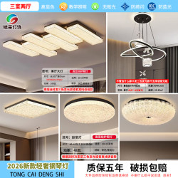 Italian-Style Minimalist Living Room Ceiling Light 2026 New Model Light Luxury Bedroom Ceiling Light Zhongshan Whole House Package Lighting Set