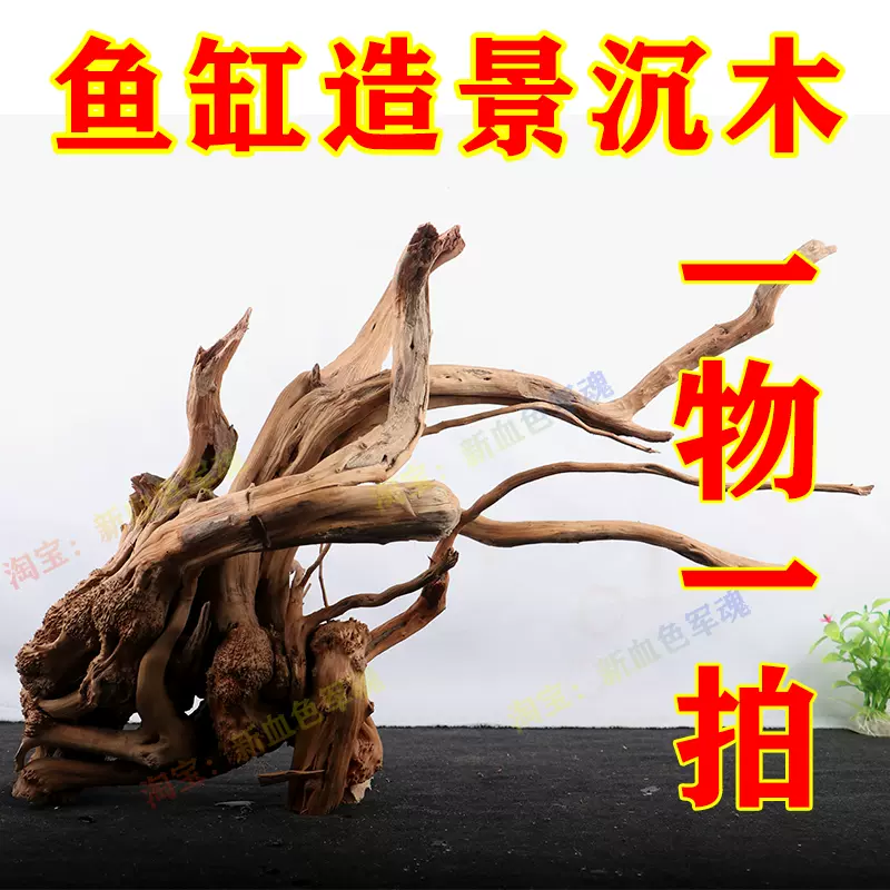 【ca】柘植龍鳳凰刻木魚根付 堤物 / H3.5cm / 細密細工造 美術品 風水 縁起物 天然沉木水族造景鱼缸杜鹃根造景爬宠箱用装饰