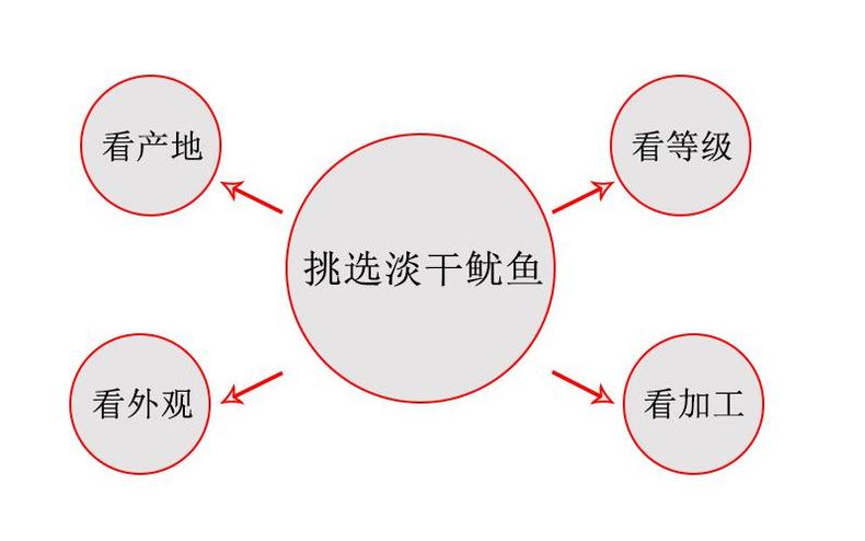 挑选淡干鱿鱼，独特鲜风味(图2)